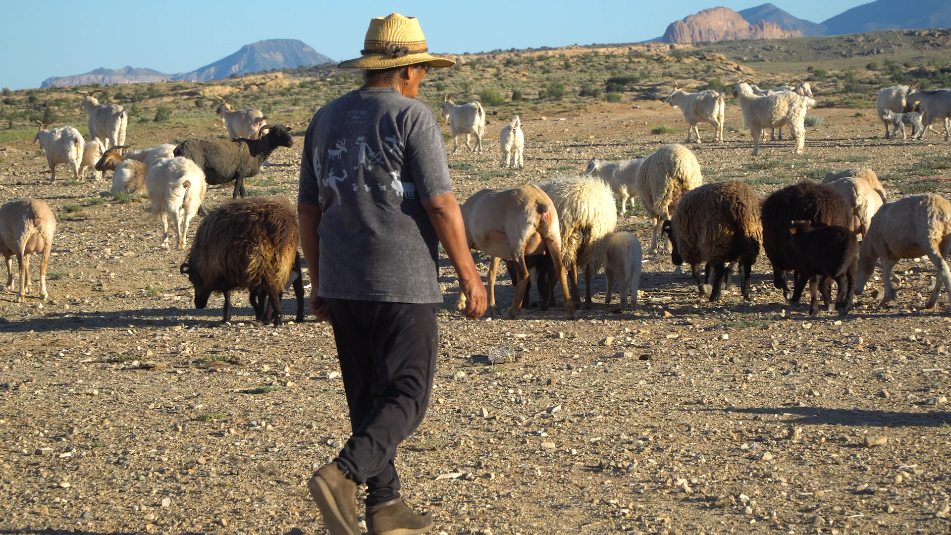 Mooni Perry «And they begged repeatedly not to order them to go into the Abyss»