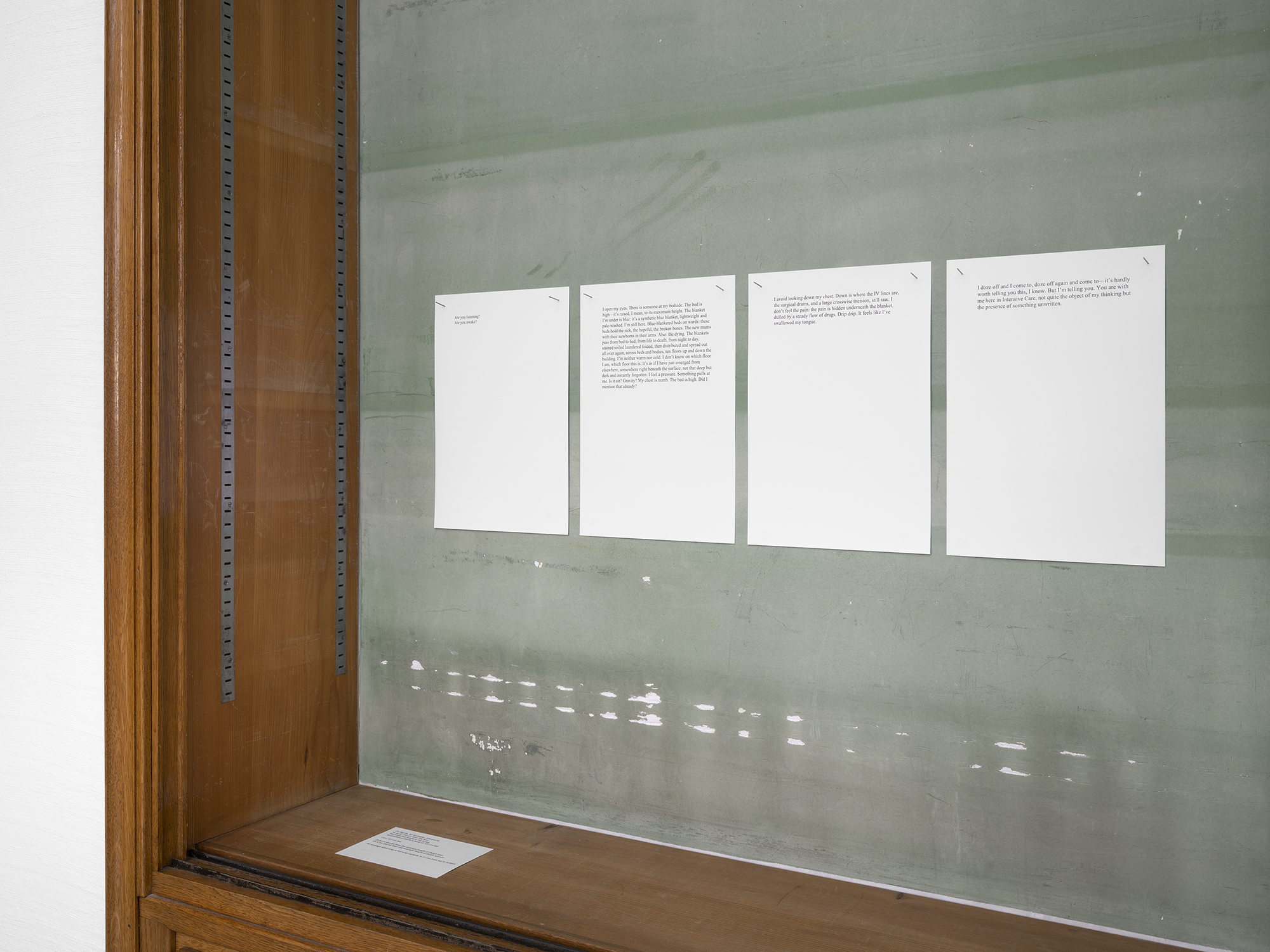 Moosje M Goosen «On Wards»»